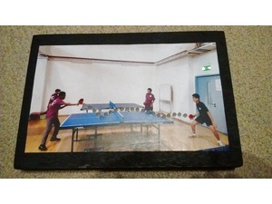 A016 - Sports Action- Table Tennis