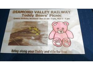 L019-Teddy Bears Picinic-Diamond Valley Railway
