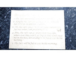 L107-Cardboard-Cat Rules