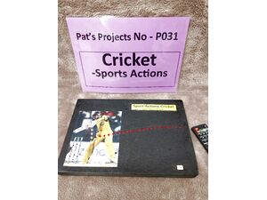 P031 - Cricket - Sports Action